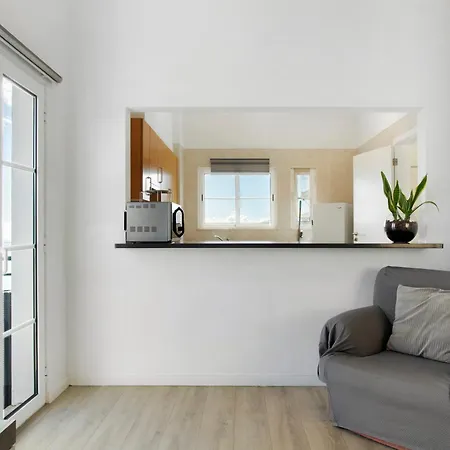 Jay Paradise - Paraiso Jota * 圣克鲁斯